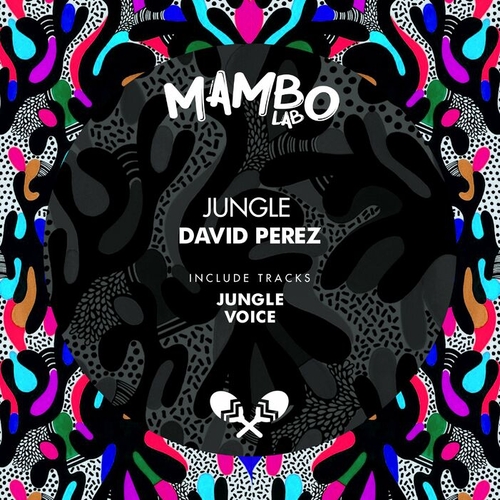 David Perez - Jungle [MLB046]